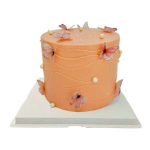 Butterfly theme Cake