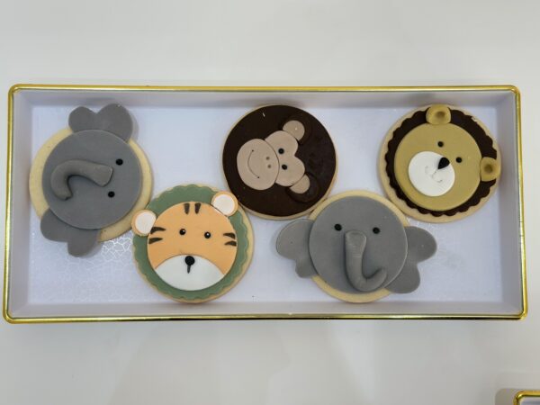 Safari - Image 7