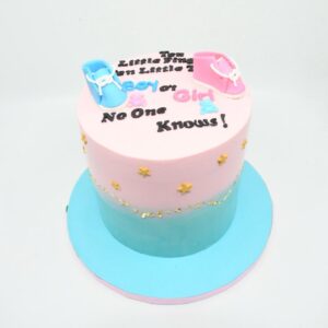 Gender Reveal